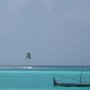 9. One Tree Island